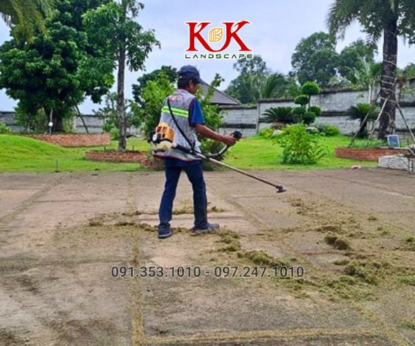 chăm sóc cảnh quan