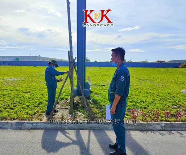 Thi công cảnh quan nhà máy