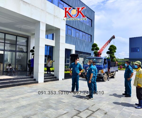 Thi công cảnh quan