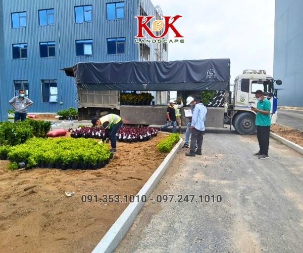 cảnh quan nhà máy