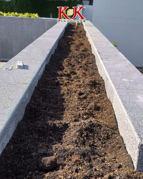 cấp đất cho bồn cây