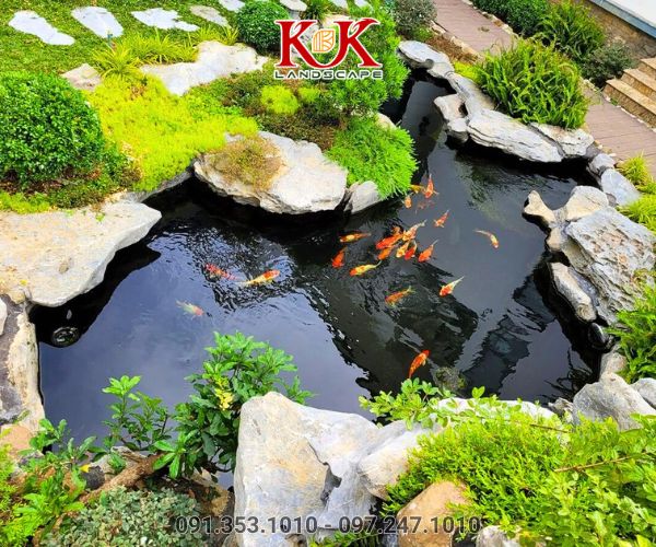 THIẾT KẾ VÀ THI CÔNG HỒ KOI – NGHỆ THUẬT KIẾN TẠO KHÔNG GIAN SỐNG ĐẲNG CẤP