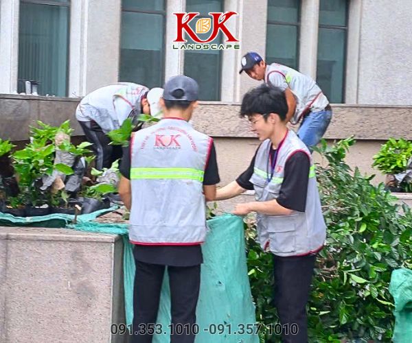 DỊCH VỤ CHĂM SÓC BẢO DƯỠNG CẢNH QUAN