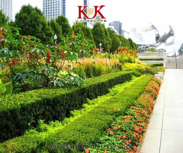 QUY TRÌNH CHĂM SÓC CÂY XANH CHUẨN KỸ THUẬT