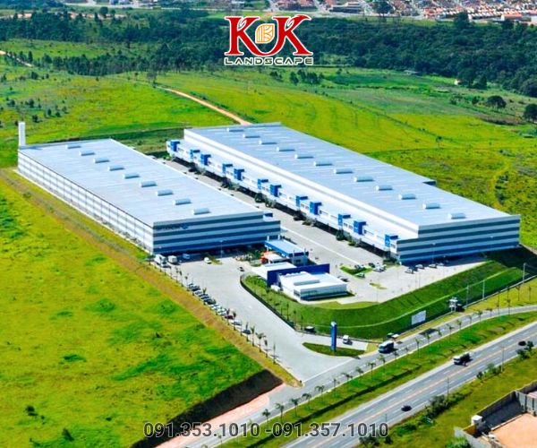 chăm sóc cây xanh nhà máy