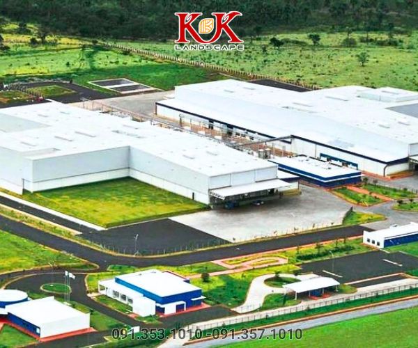 DỊCH VỤ CHĂM SÓC CÂY XANH THẢM CỎ CHO NHÀ MÁY: DUY TRÌ MẢNG XANH BỀN VỮNG