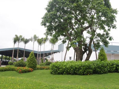 Thi công cảnh quan nhà máy đẹp đẳng cấp
