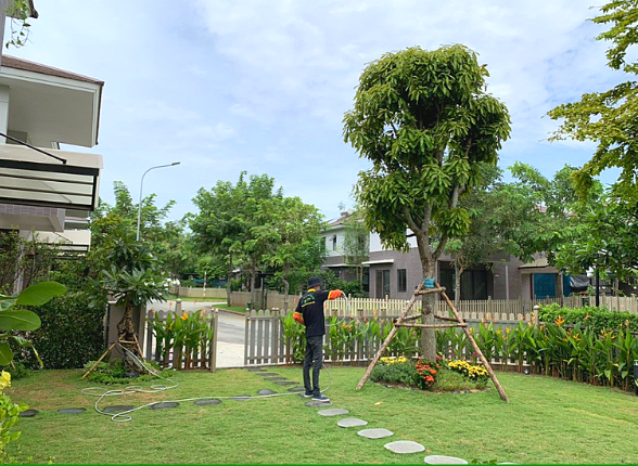 Dịch vụ chăm sóc cây cảnh sân vườn tại quận 2 tphcm