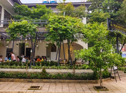 Thi công trồng cây xanh cho quán café sân vườn